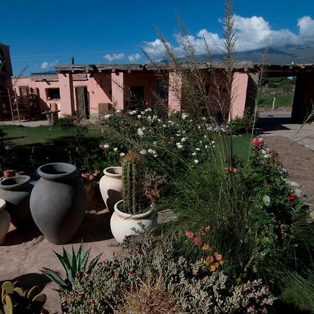 Finca Huayrapuca Famatina Bagian luar foto