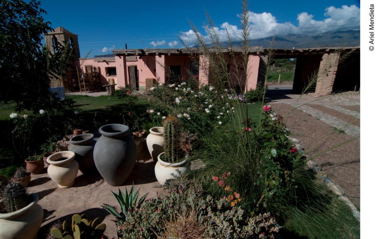 Finca Huayrapuca Famatina Bagian luar foto