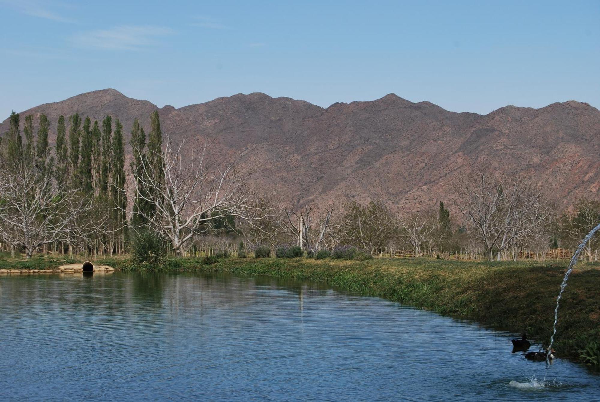 Finca Huayrapuca Famatina Bagian luar foto